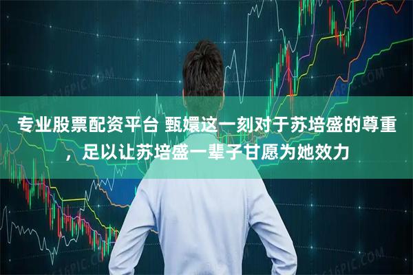 专业股票配资平台 甄嬛这一刻对于苏培盛的尊重，足以让苏培盛一辈子甘愿为她效力