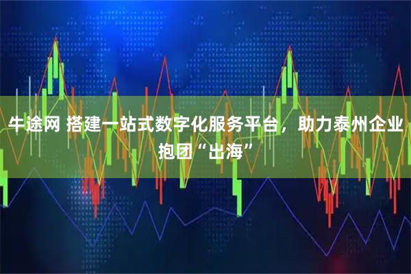 牛途网 搭建一站式数字化服务平台，助力泰州企业抱团“出海”